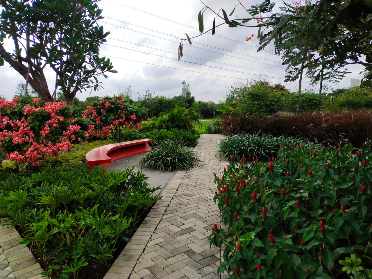 Architecture, Interior and Landscape Designs